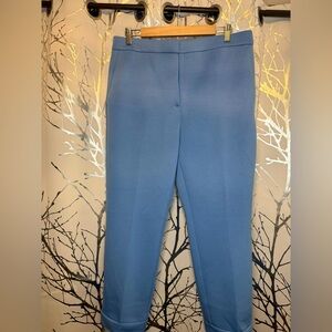 Women's Blue  ankle length Pants by Ann Taylor